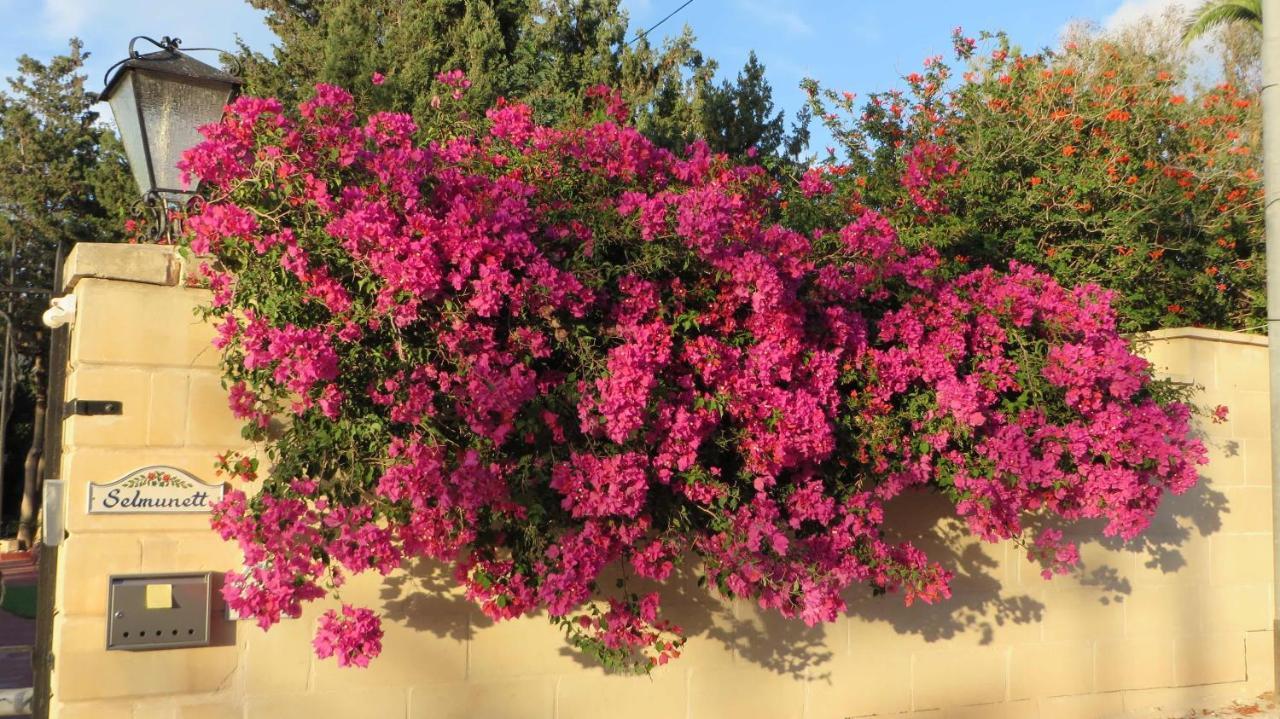 Villa Selmunett Naxxar Екстериор снимка